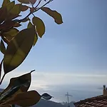 Apartment Rose Garden