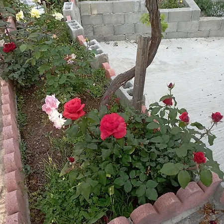 Rose Garden * Katochori