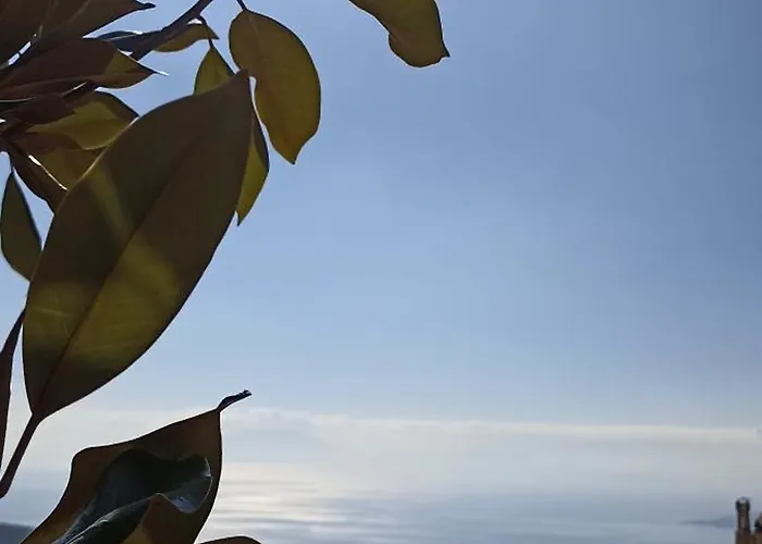 Διαμέρισμα Rose Garden